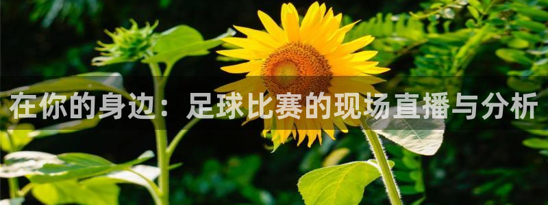 在你的身边：足球比赛的现场直播与分析