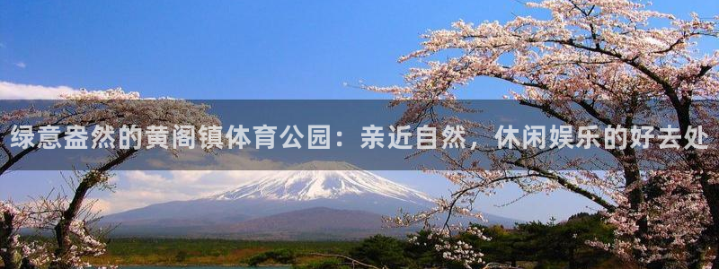 绿意盎然的黄阁镇体育公园：亲近自然，休闲娱乐的好去处